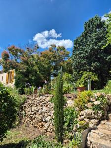 Ogród w obiekcie Maison dans la Provence Verte