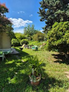 Ogród w obiekcie Maison dans la Provence Verte