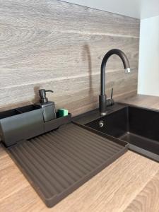 a kitchen sink with a faucet next to a counter at Apartments Frank in Zambratija +252 photos