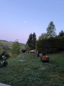 a fire pit in a yard with a grill at Ferienhaus am Vogelsberg in Hämmern