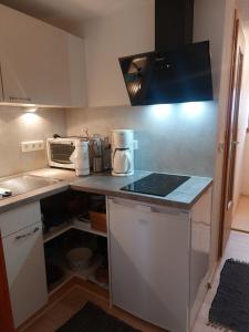 a small kitchen with a counter top with a microwave at Ferienhaus am Vogelsberg in Hämmern