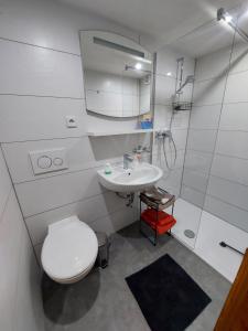 a white bathroom with a toilet and a sink at Ferienhaus am Vogelsberg in Hämmern
