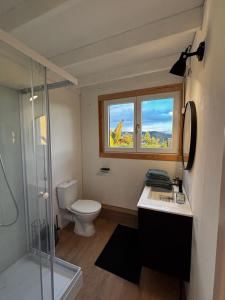 Tiny House RosaLodge的一间浴室