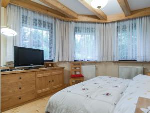 Televízia a/alebo spoločenská miestnosť v ubytovaní udanypobyt Apartament Sauna Fun