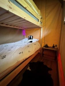 a bedroom with a bunk bed in a room at Wild Wild West Saloon in Paasloo