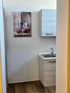 Cavour Luxury Rooms Catanzaro في كاتانزارو: مطبخ به مزهريات على رف بجوار حوض الغسيل