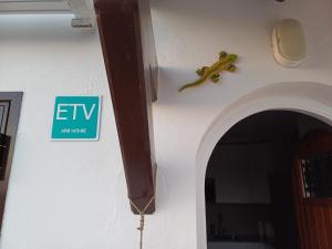 una lucertola è sul lato di un edificio di Casa NURA a Son Bou