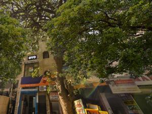 Zahrada ubytování Hotel O Unique Delhi Home Stay