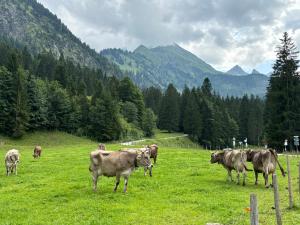 Gallery image of Alternative zur Junior-Suite in Immenstadt im Allgäu