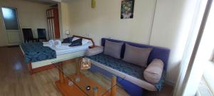 TV a/nebo společenská místnost v ubytování Guest House Planinski Zdravets