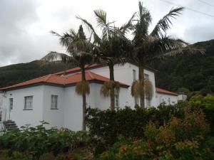 a white house with two palm trees in front of it at Tropical Fruit Garden in Velas