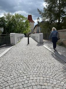 Hostia v ubytovaní Pension Kotva