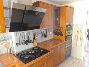 a kitchen with a stove top oven in a kitchen at Rodinný dům v Praze s bazénem in Prague