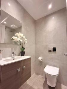 a bathroom with a toilet and a sink at Philippos Apartments in Acharavi +38 photos