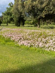 Zahrada ubytování Agriturismo Podere Sant' Antonio