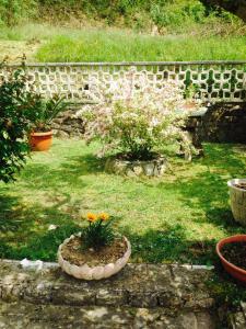 Zahrada ubytování Il Ghiro B&B
