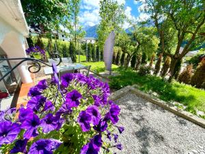 Zahrada ubytování Alpenruhe Residenz