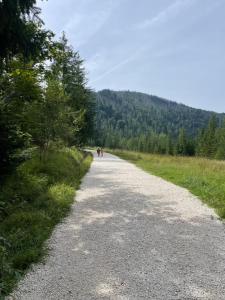 Príroda v okolí apartmánu