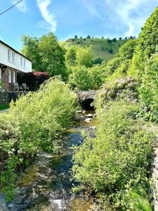 Phong cảnh thiên nhiên gần nhà nghỉ dưỡng +29 ảnh