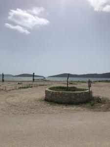 un petit arbre en cercle sur la plage dans l'établissement Bella Casa Srima Comfort, à Srima 32 autres photos