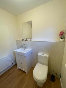 a bathroom with a white toilet and a sink at 20 Fairview Chepstow in Chepstow +8 photos