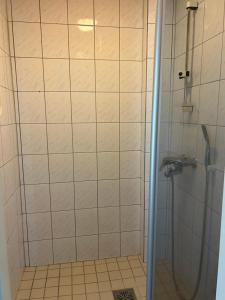 a shower with a glass door in a bathroom at "Nitton" loistava sijainti Tammisaaren keskustassa in Ekenäs +6 photos