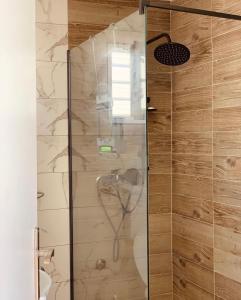 a shower with a glass door in a bathroom at Vikendica Oaza in Babići