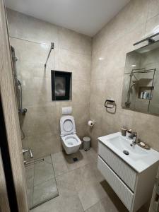 a bathroom with a toilet and a sink and a shower at Sunset Heaven Kaluđerovina in Tivat