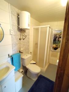 a bathroom with a toilet and a shower and a sink at Belo Encanto do Paiva in Castelo de Paiva +73 photos