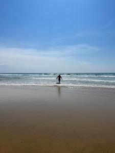 a person walking into the ocean with a surfboard at Maisonette Landaise in Vielle-Saint-Girons +14 photos