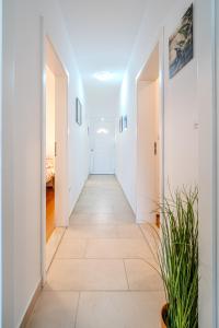 Fotografia z galérie ubytovania Apartman Elephant v destinácii Postira