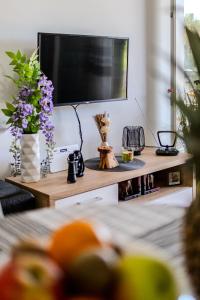 Televízia a/alebo spoločenská miestnosť v ubytovaní Apartman Elephant