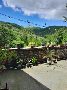 Imagen de la galería de Emilia, en Signagi 27 fotos más