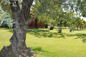 Zahrada ubytování Villa Irene Pisticci-Matera
