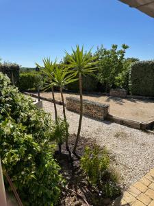 a couple of palm trees in a garden at Loft de la louve in Villeveyrac
