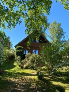 a cabin in the middle of a yard with trees at Uferglück Plau - mit eigenem Seezugang in Plau am See
