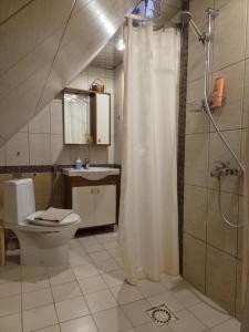 a bathroom with a shower and a toilet and a sink at Aare kodumajutus in Tammiku