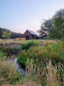 a barn in a field next to a stream at 8 Mile Farm Bed & Breakfast in The Dalles