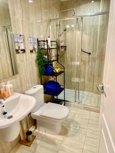 a bathroom with a shower and a toilet and a sink at Apartamento Casalarreina in Casalarreina