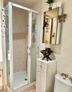 un baño con ducha y WC en CANNES CENTRE 5 minutes de la mer, en Cannes 83 fotos más