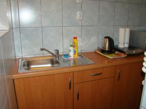 Kuhinja ili čajna kuhinja u objektu Willa Stenia Apartamenty