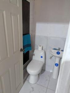 Koupelna v ubytování Céntrico y cómodo Apartamento en Danlí