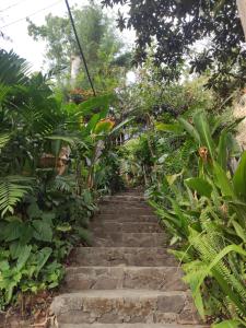 Gallery image of ELOA Atitlán in San Marcos La Laguna