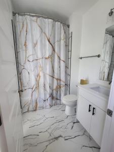 チャタヌーガにあるThe Stunning Southside Escape!のバスルーム(大理石のシャワーカーテン、トイレ付)