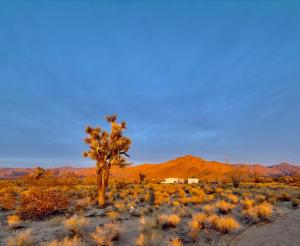 Zdjęcie z galerii obiektu Joshua Tree Tiny Home w mieście Yucca