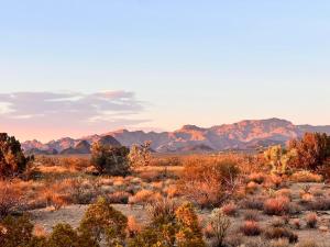 Zdjęcie z galerii obiektu Joshua Tree Tiny Home w mieście Yucca