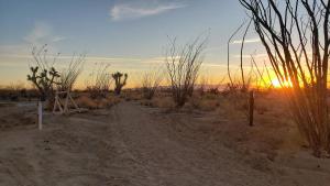 Zdjęcie z galerii obiektu Joshua Tree Tiny Home w mieście Yucca