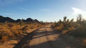 Imagen de la galería de Joshua Tree Tiny Home, en Yucca