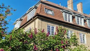 奥斯陆Frederik Stang's Garden的一栋前面有粉色花朵的建筑