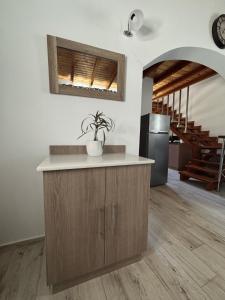 a kitchen with a island with a potted plant on it at Villa Mitsialis in Lákka +14 photos